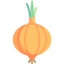 Onion